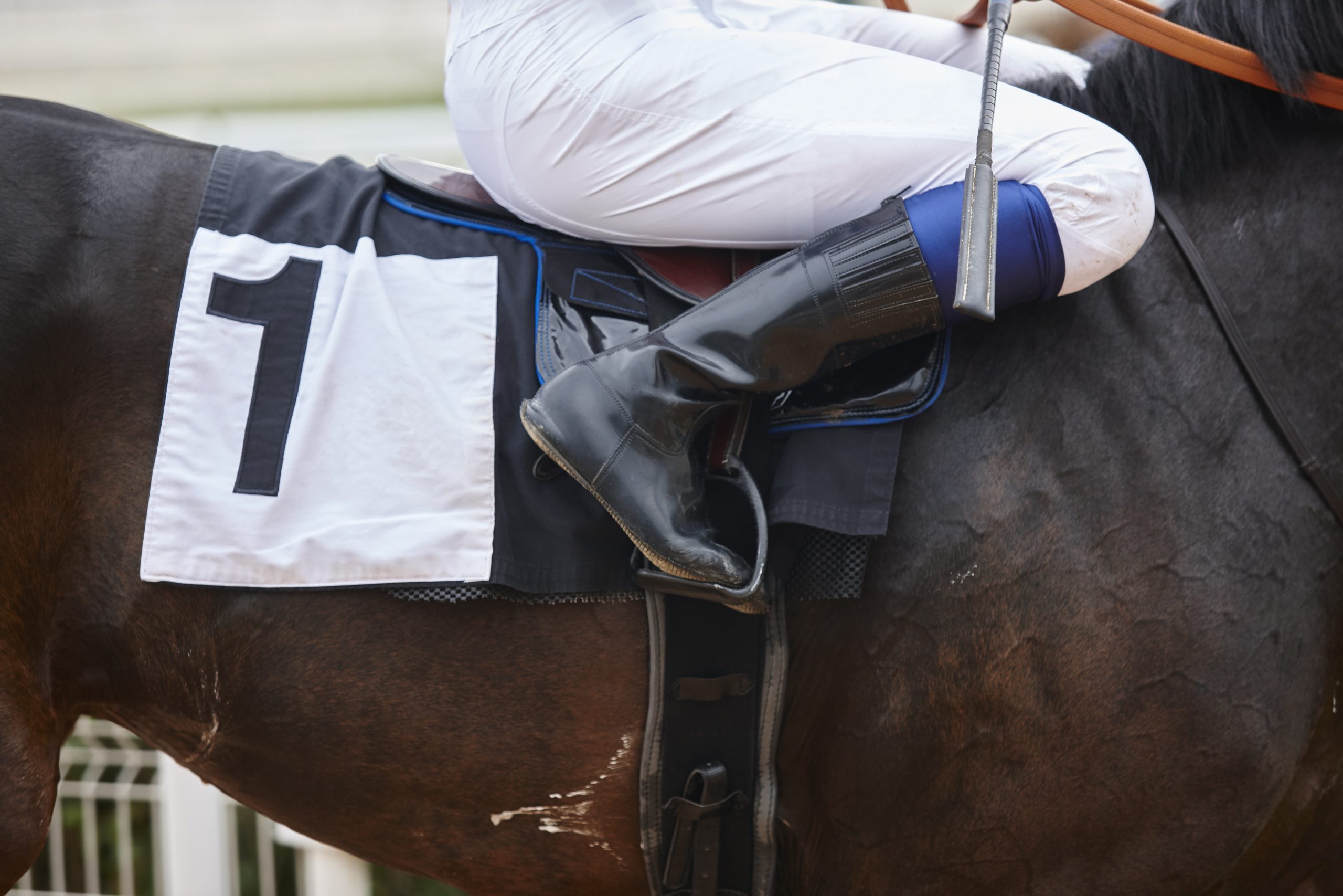 Lingfield Oaks & Derby Trials This Saturday: Preview, Odds & Betting ...